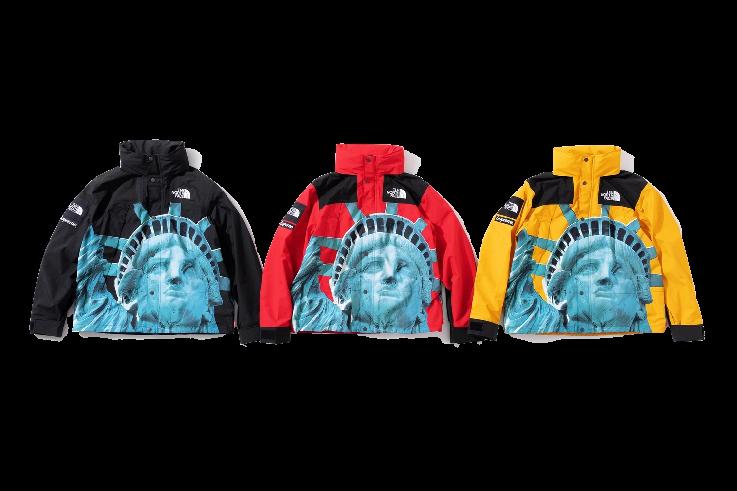 Supreme®/The North Face® Statue of Liberty Mountain Jacket view 12